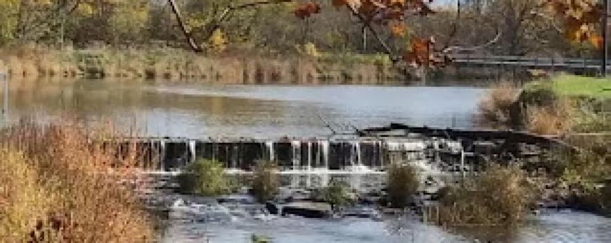 Marilla Park