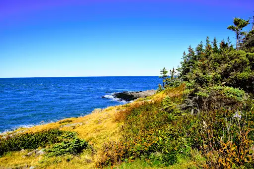 Point Prim