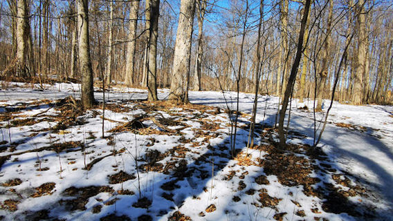 Парк Шугарбуш Херитедж