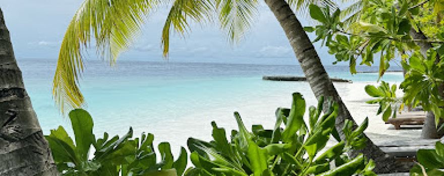 Lily Beach Sajid D'costa Tourist Information
