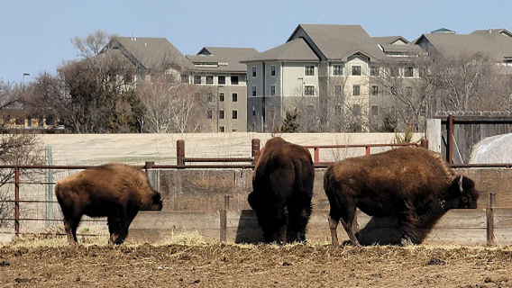 Frontier Historical Park