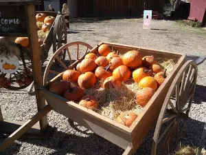 Clark Historic Farm