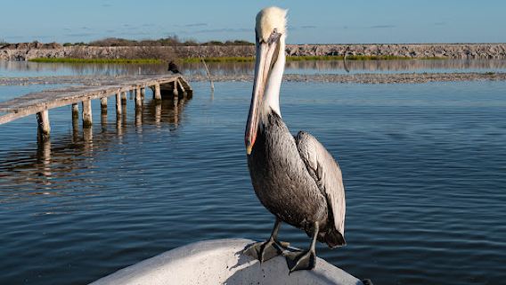 Biosphere Reserve