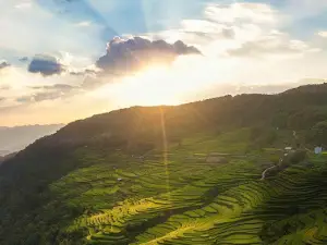 Ruộng Bậc Thang Hồng Thái