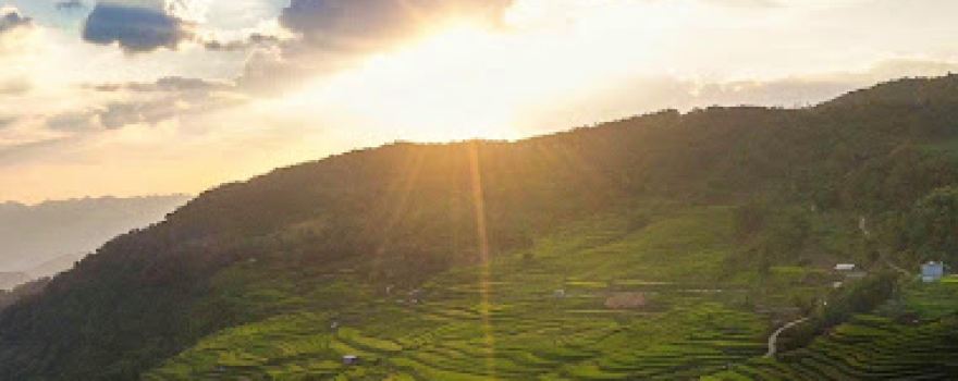 Ruộng Bậc Thang Hồng Thái