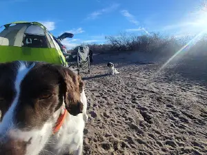 Hot Well Dunes Recreation Area