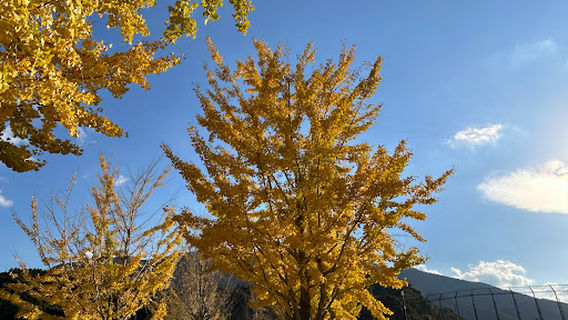 Nanasegawa Nature Park