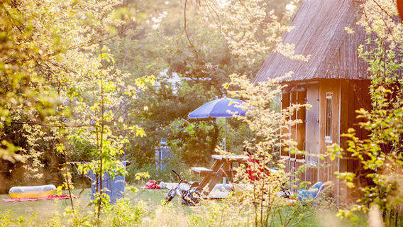 Holiday Witterzomer Drenthe