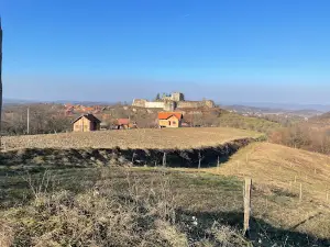 Cetin Castle