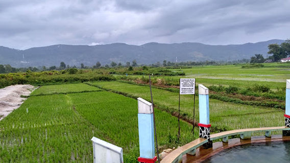 Soda Spring Par bubu