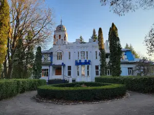 Lisodoslidna Stantsiya