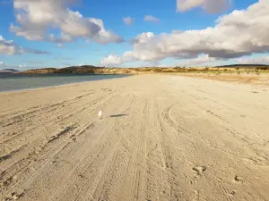 Farm Beach