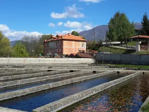 Yukarı Banisa Mosque