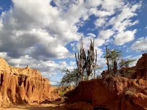 Tatacoa Desert