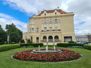 Municipal Theater in Prostejov, contributory organization