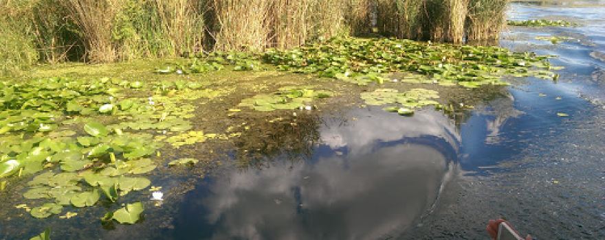 Periteașca-Leahova National Reserve