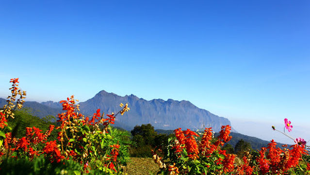 Kaset Thi Sung MO Cho Office