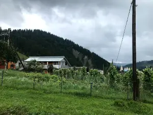 Torakivsʹka Skala