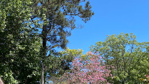 Parque del Plata