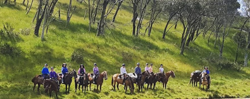 Cochran Horse Treks