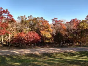 Balmoral Golf Course