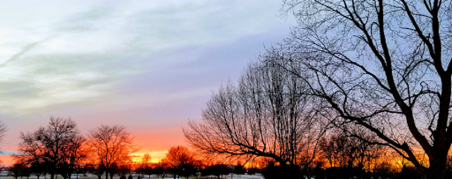 Willow Pond Golf Course
