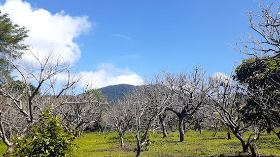 Empalme El Guanacaste - Mombacho