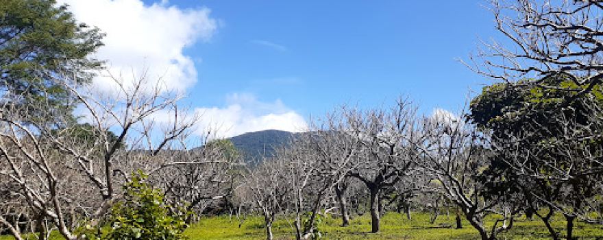 Empalme El Guanacaste - Mombacho