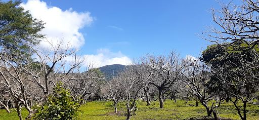 Empalme El Guanacaste - Mombacho