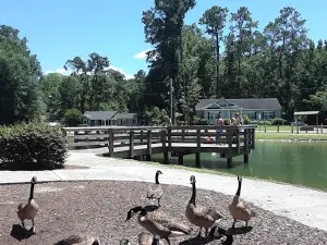 Gladys Whiddon Park