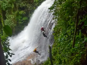 Bonito Rapel