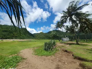 Pantai kerbau (kebo)