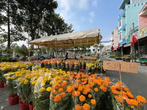Hồ bơi Khu liên hợp