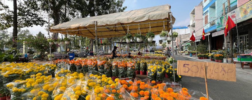 Hồ bơi Khu liên hợp