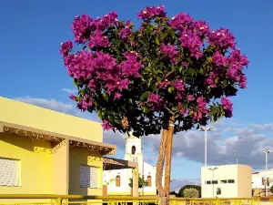 St. Benedict Square