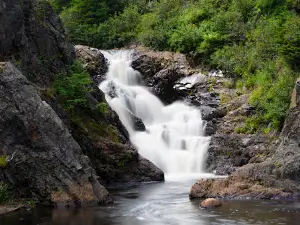 Conception Harbour Overfalls