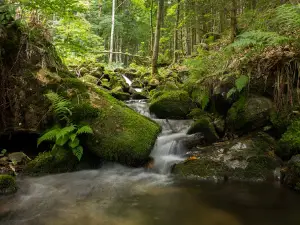 Cascade du Hohwald
