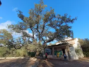 Paisagem Protegida Local da Fonte da Benémola