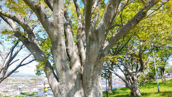 Noshiro Park