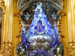 Pinada de Les Virtuts