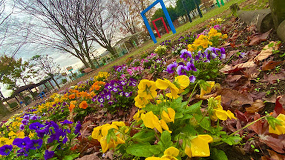 Shitamorooka Park