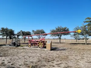 Rattlesnake - Freer Texas