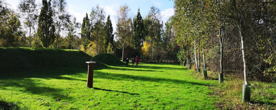 If Not Now When Community Woodland