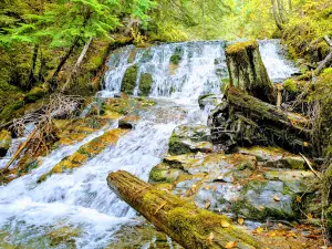 Fletcher Creek Falls Recreation Site