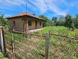 Memorial House Marin Preda