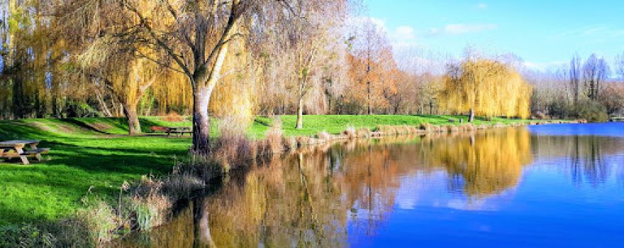 Etang de peche