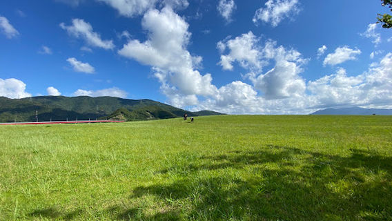 Wadako Narumi Ryokuchi Park