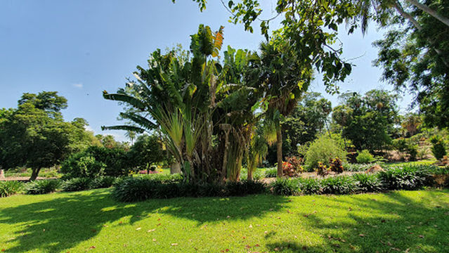 Darwin Botanic Gardens Playground