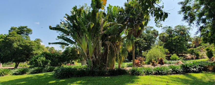 Darwin Botanic Gardens Playground