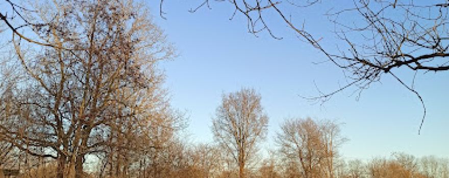 Das Treenetal